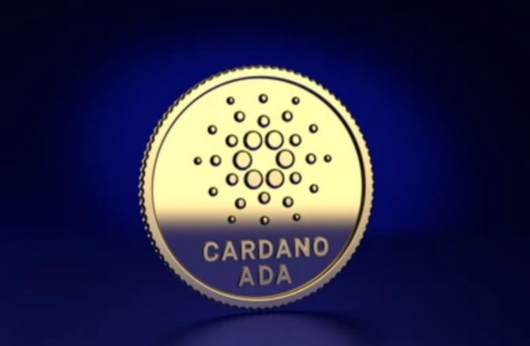 Cardano Records Massive $100 Million In Treasury Funds