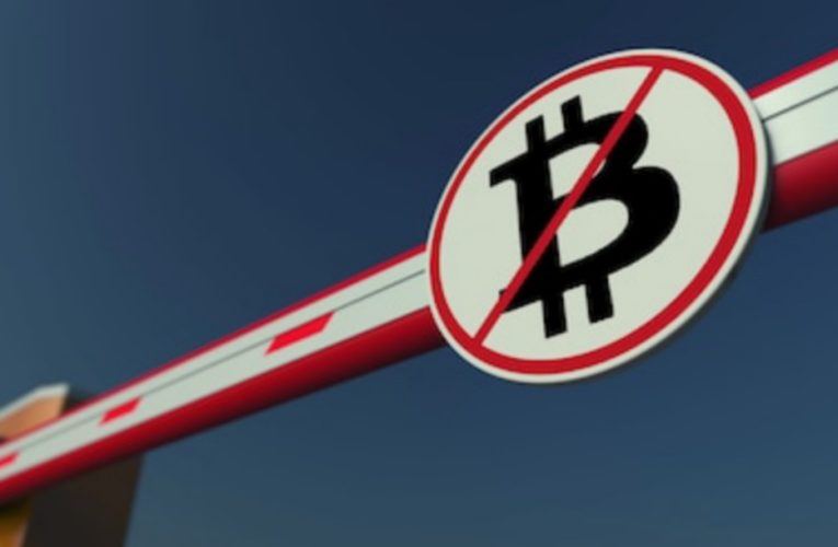 The Bitcoin Standard’s Author Says You Cannot Really Ban BTC, You Can Ban Yourself From BTC