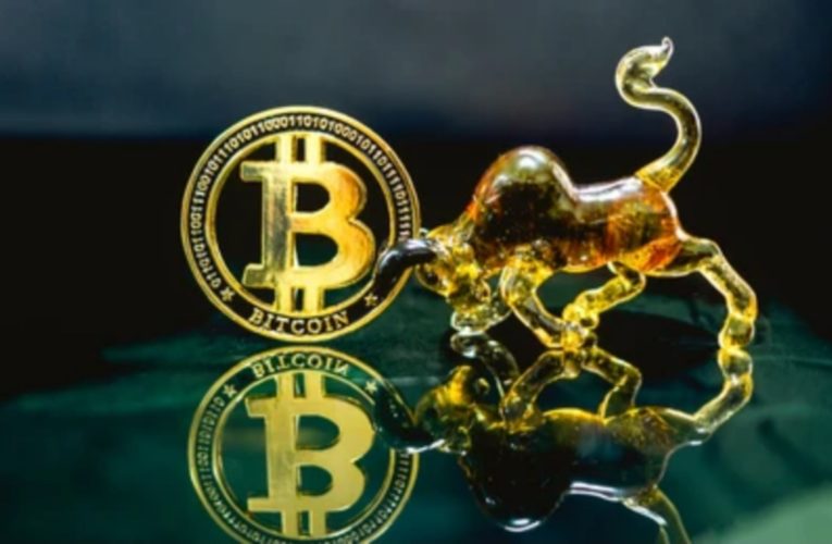 Bitcoin Set To Trigger Bullish Run
