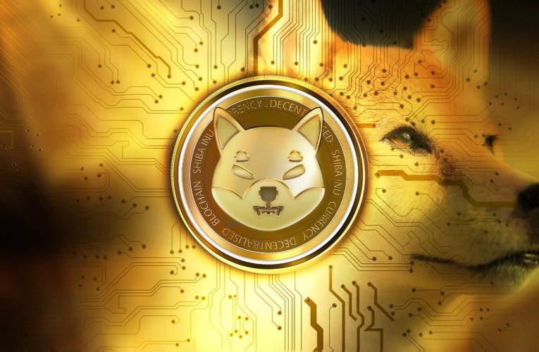 Everything You Need To Know About Shiba Inu Coin
