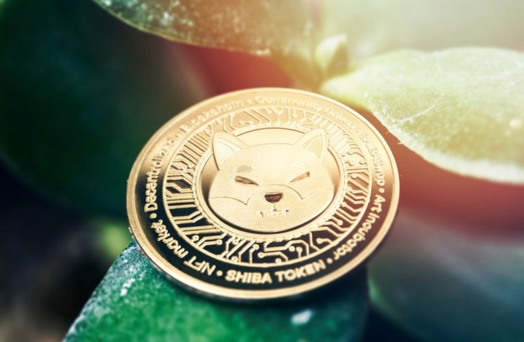 Ethereum Whales Lose Interest in Shiba Inu; Will It Impact SHIB Price?