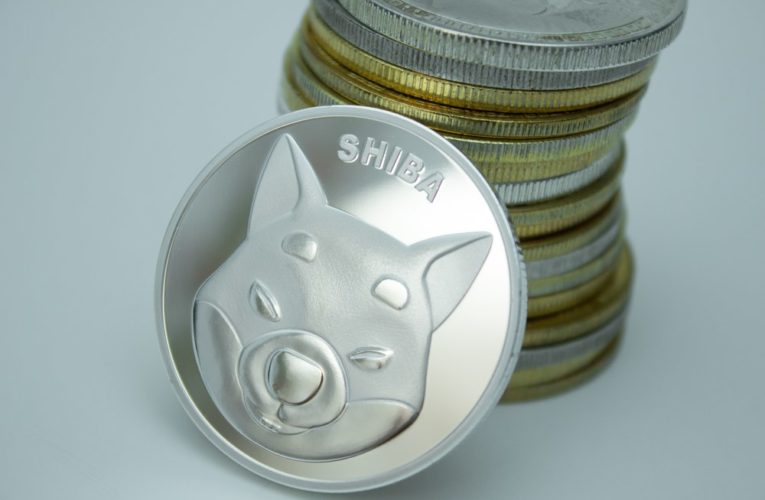 Shiba Inu (SHIB): Bulls to Eye $0.0000090 Return as Shibarium Upgrade Approaches