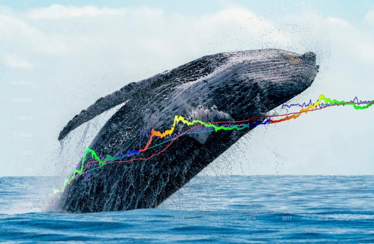 Consequences of the Recent Dip-Buying by Ethereum Whales: A Speculative Bubble on the Horizon?